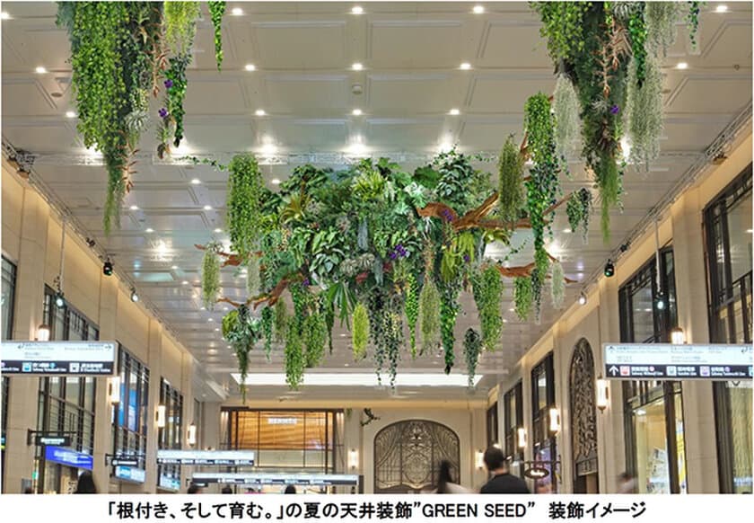 大阪梅田ツインタワーズ・ノース1階 南北コンコース
夏の天井装飾“GREEN SEED” テーマは「根付き、そして育む。」
6月9日（金）～7月24日（月）の46日間で実施します