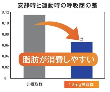 ブラックジンジャー成分による脂肪消費促進