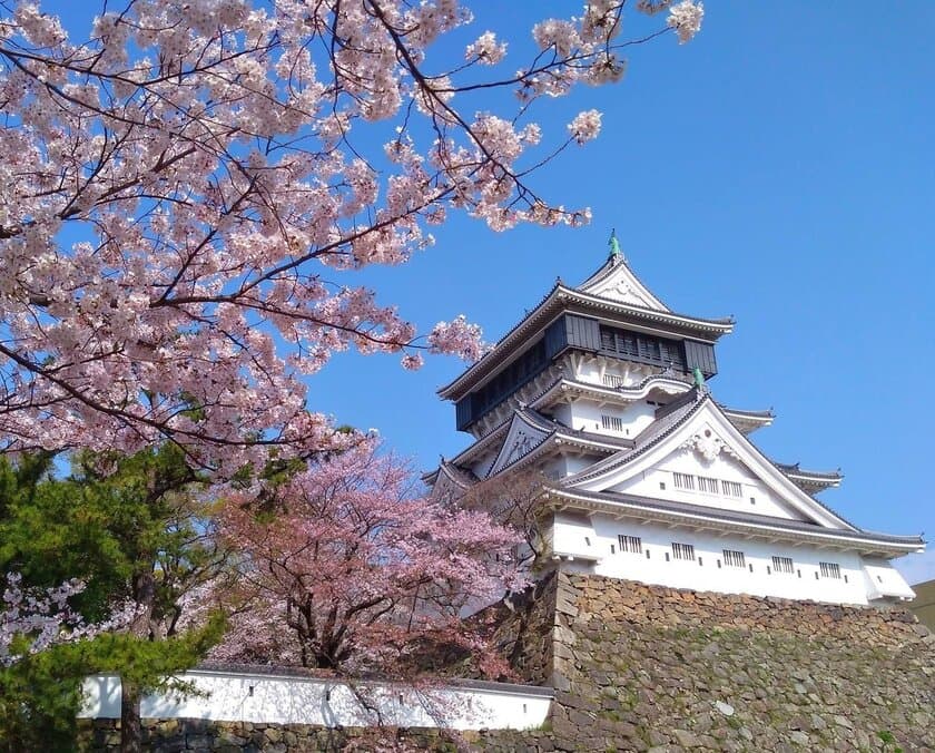 福岡・小倉城の土産物店「しろテラス」が、
2023年7月上旬の免税販売開始に向けて
免税手続き代行サービス「REMOTAX」を採用