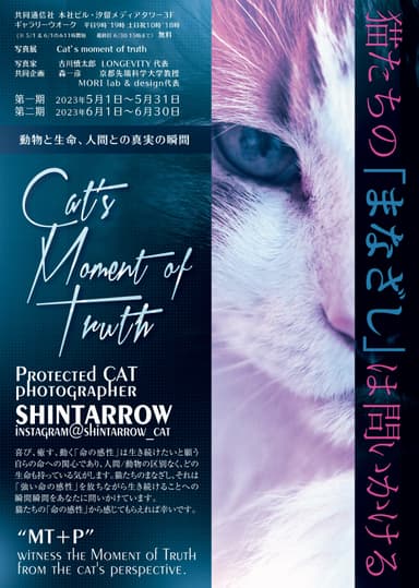 保護猫写真展“Cat's moment of truth”