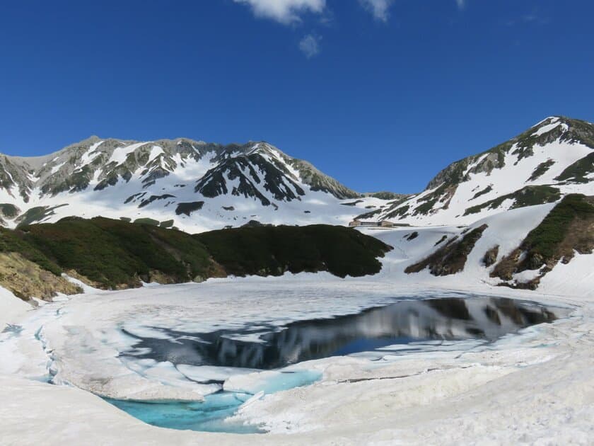 富山県と長野県を結ぶ「立山黒部アルペンルート」の
北アルプスで最も美しい火山湖「みくりが池」雪解け情報を配信！