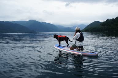 愛犬とSUP