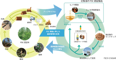 辻製油 ヒノキ精油事業