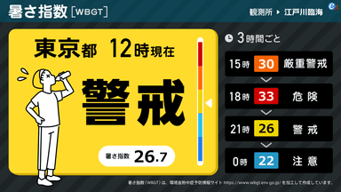 今の暑さ指数(実況値)と3時間ごとの予測値を表示