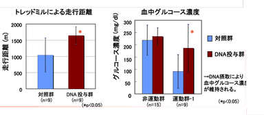 耐久性向上実験