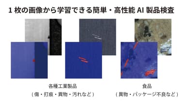 図4　gLupeによる検査例