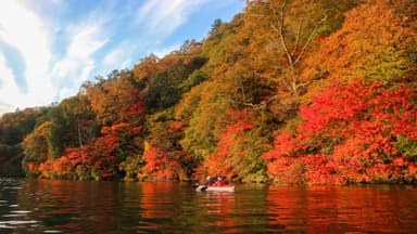 カヌーで中禅寺湖から見る紅葉