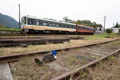 列車を見送るらぶ駅長