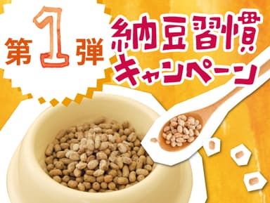 第1弾 1日ひとさじの納豆習慣キャンペーン