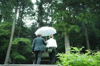 枯れてしまった犬胴松への参拝