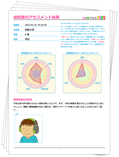 感覚・動作アセスメントKIDS　結果例