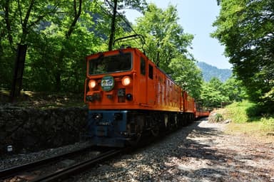 黒部峡谷トロッコ電車