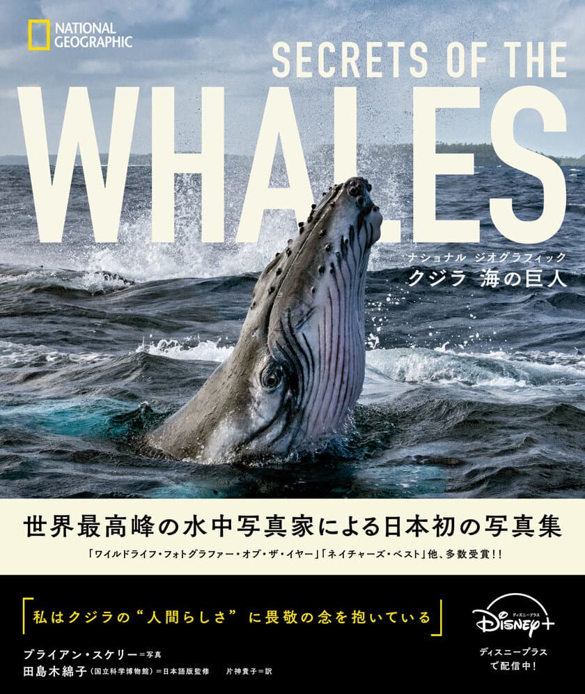 『ナショナル ジオグラフィック　クジラ 海の巨人』
著者：ブライアン・スケリー　
序文：ジェームズ・キャメロン
日本語版監修：田島木綿子（国立科学博物館）
7月18日（火）発売！