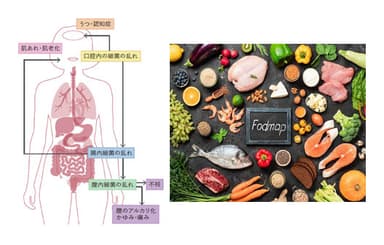 口腔内 - 膣内 - 腸内フローラ　FODMAP