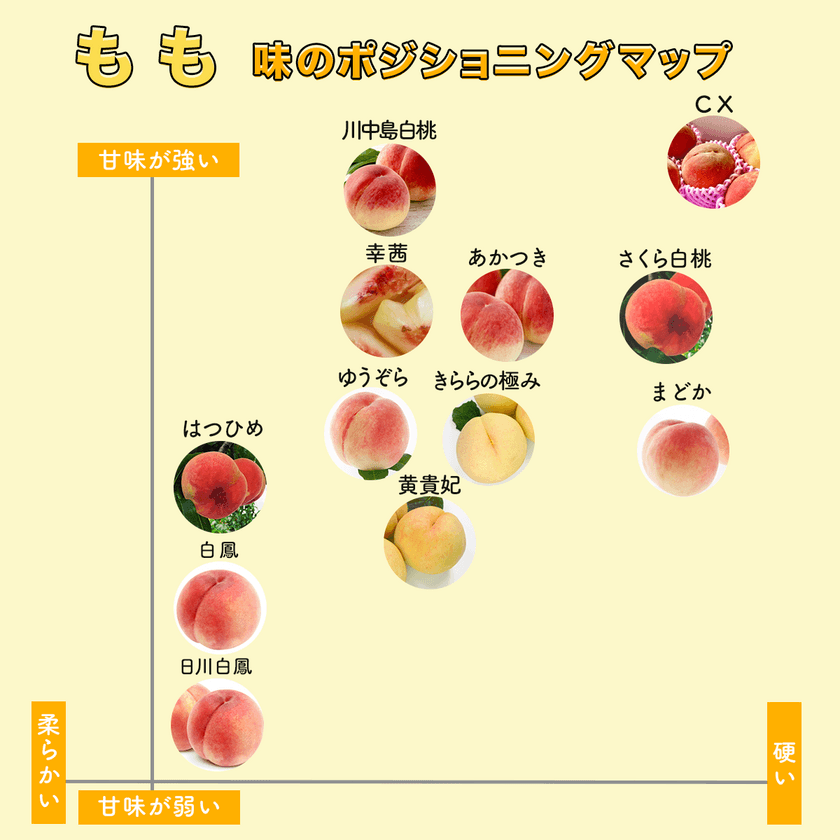 産地直送・お取り寄せ通販サイト「トドクヨ」が
福島県産の桃を7月より販売開始！
～桃の味や固さを比較できるポジショニングマップを公開～