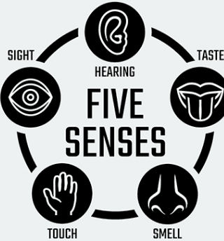 FIVE SENSES APPROACH