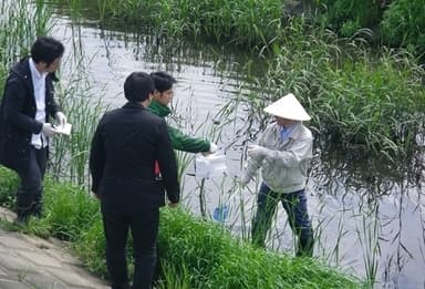 川で微生物を採取する山下教授と研究員の様子