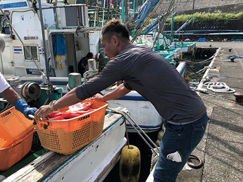 従事者の高齢化や後継者不足など課題解決の一助に
東京の島で「島暮らし体験」ができる
漁業・農業就業体験者を募集開始