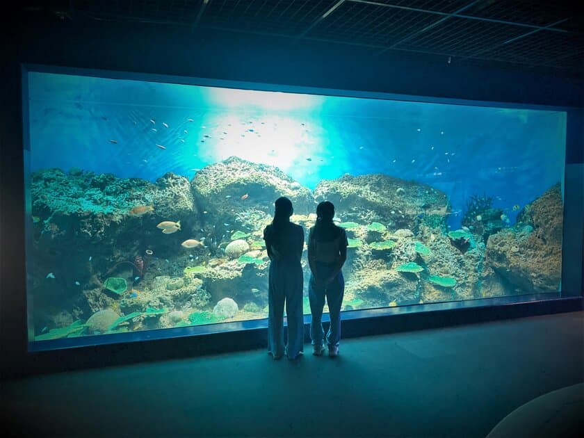 アクアワールド茨城県大洗水族館の
「きらめく珊瑚礁の魚たち」水槽が7月22日からリニューアル