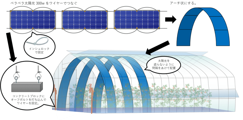 ビニールハウスに曲がる超薄型太陽光発電パネルを設置
「水耕栽培用ペラペラ太陽光」サービスを8月1日からスタート