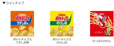 ペット用ベッド　ラインナップ