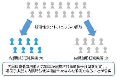 本研究結果の概要図