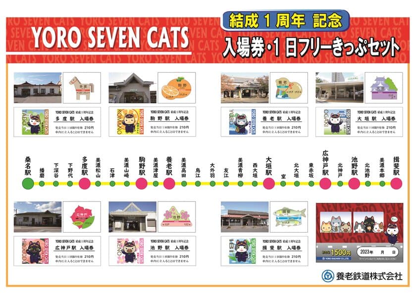 「YORO SEVEN CATS」が結成１周年を迎えます！