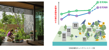 生物多様性ネットゲインイメージ図