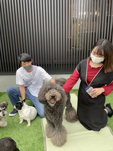 外でも遊べる犬カフェ