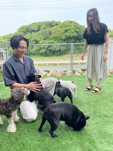 フレンチブルドッグもいる犬カフェ