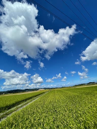 明治時代から変わらない田園風景