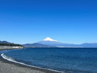 三保の松原からの富士山