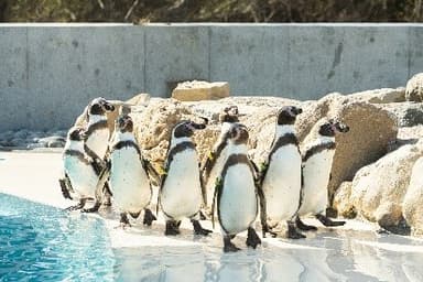 小諸市動物園