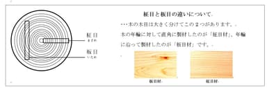 参考資料「柾目と板目の違いについて」