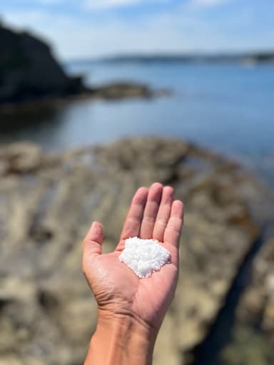 勝浦の海からの恵みを届けたい！！