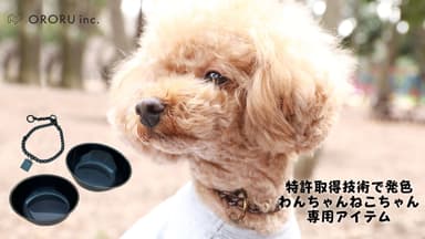 愛犬との生活に彩りを