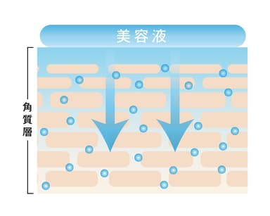 浸透*イメージ