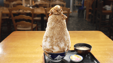 日本一の富士山丼