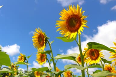 暑すぎた2023年夏の最後の思い出に