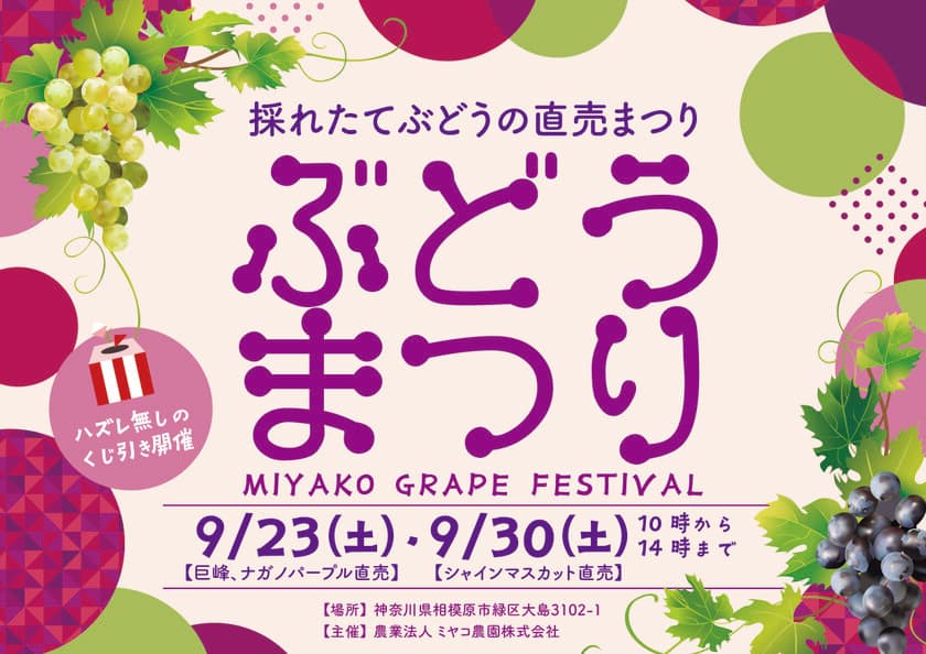 ミヤコ農園株式会社が直売イベント「ぶどうまつり」を
9月23日(土)、9月30日(土)に開催！