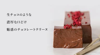 魅惑のチョコレートテリーヌ 1