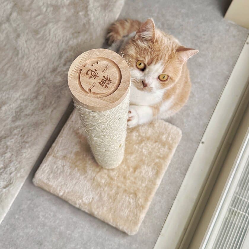 猫が心地よく使えるタテ型タイプのつめとぎ
「バリバリつめとぎポール 麻」を9月より販売