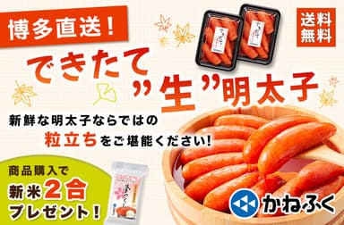 『できたて“生”明太子270g×2個』販売開始