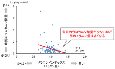 図2　ウロカニン酸量とメラニン量との関連