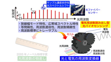 図1　光コムの光／電気周波数変換を用いた電気周波数読み出し型光バイオセンシング