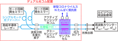 図2　デュアル光コムを用いたアクティブ・ダミー温度補償