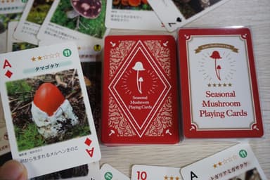 Seasonal Mushroom Playing Cards