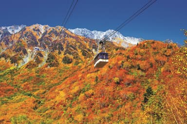 三段紅葉(10月中旬)