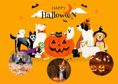 ハロウィンイベント