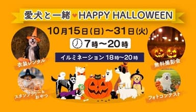 ハロウィンイベント2